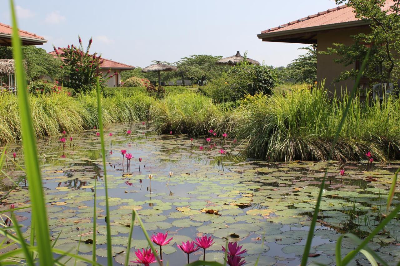 Hibiscus Garden Hotel Tissamaharama Exterior photo